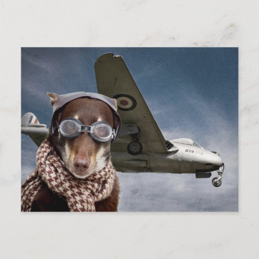 Amelia Earhart Briefkaart (Voorkant)
