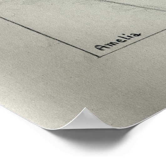 Amelia Earhart Poster (Hoek)