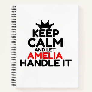 AMELIA HANDT HET NOTITIEBOEK