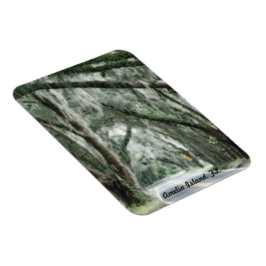 Amelia Island, FL. magneet (Rechterzijde)