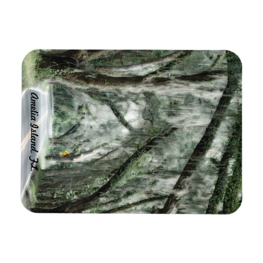 Amelia Island, FL. magneet (Horizontaal)