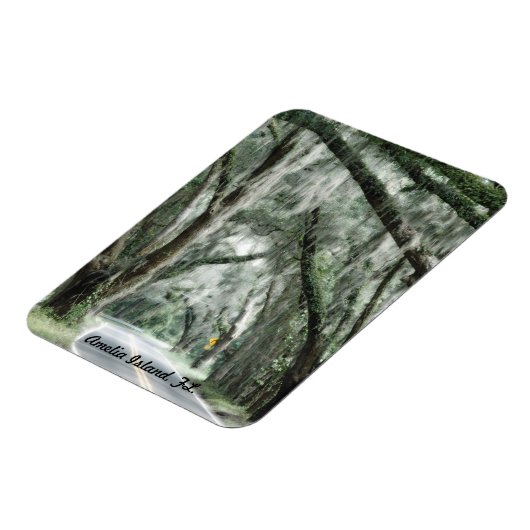 Amelia Island, FL. magneet (Linkerzijde)