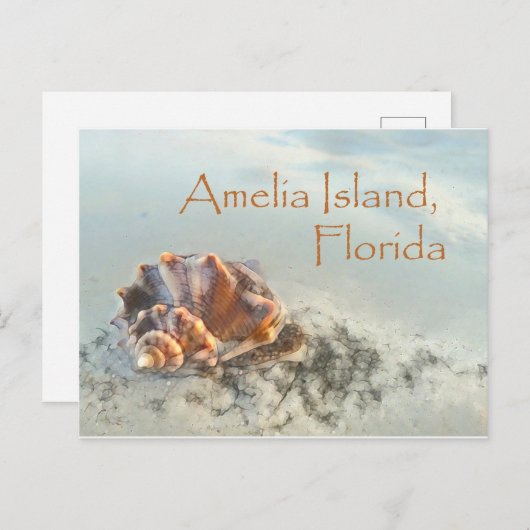 Amelia Island, FL Seashell Briefkaart (Voorkant / Achterkant)