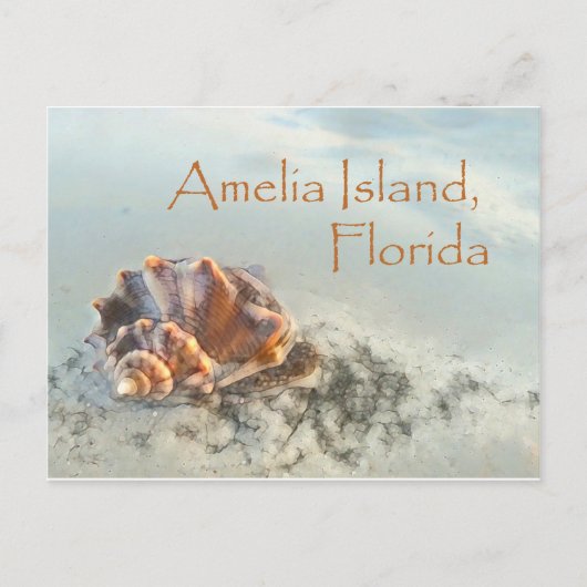 Amelia Island, FL Seashell Briefkaart (Voorkant)
