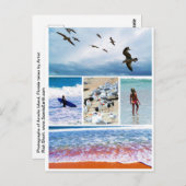 Amelia Island Florida Seascape Briefkaart Foto (Voorkant / Achterkant)