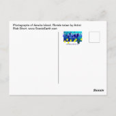 Amelia Island Florida Seascape Briefkaart Foto (Achterkant)