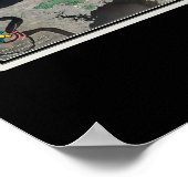 Amelia Island Florida van Space Satellite Map Poster (Hoek)