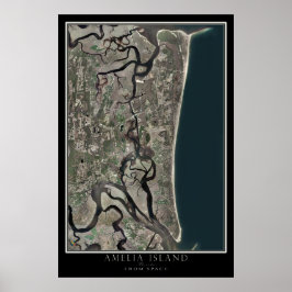 Amelia Island Florida van Space Satellite Map Poster