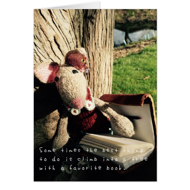 Amelia's Amazing Adventures (Voorkant)