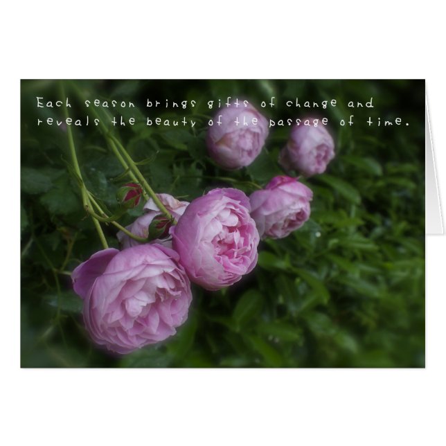 Amelia's Amazing Adventures (Voorkant Horizontaal)