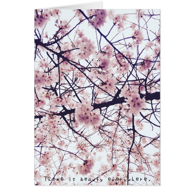 Amelia's Amazing Adventures (Voorkant)