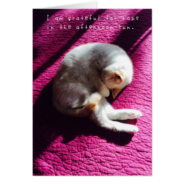 Amelia's Amazing Adventures Journal (Voorkant)