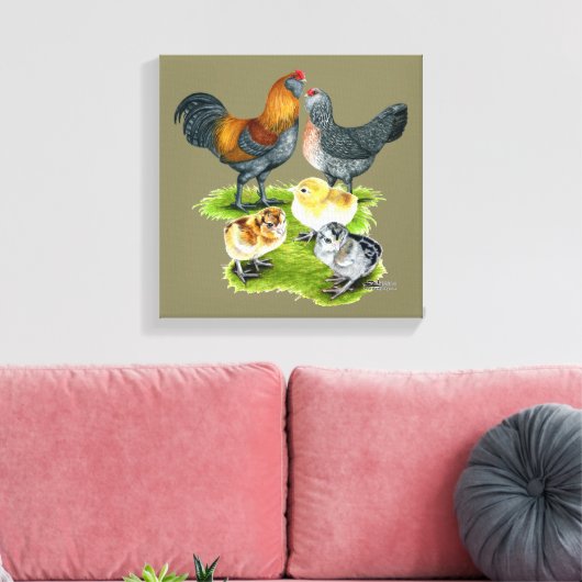 Ameraucana Chicken Family Canvas Afdruk (Insitu (Woonkamer))