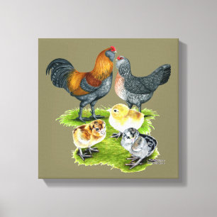 Ameraucana Chicken Family Canvas Afdruk