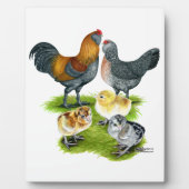 Ameraucana Chicken Family Fotoplaat (Voorkant)