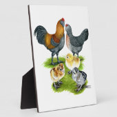 Ameraucana Chicken Family Fotoplaat (Zijkant)