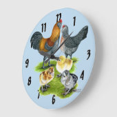 Ameraucana Chicken Family Grote Klok (Hoek)