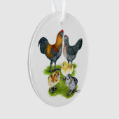 Ameraucana Chicken Family Ornament (voorkant)