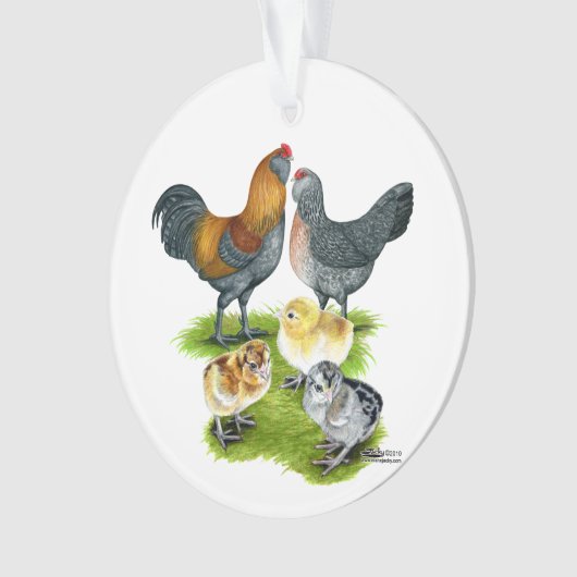 Ameraucana Chicken Family Ornament (voorkant)