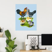 Ameraucana Chicken Family Poster (Thuiskantoor)