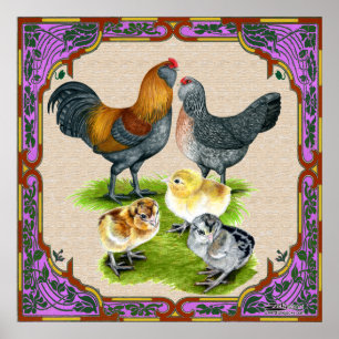 Ameraucana Familie Omlijst Poster