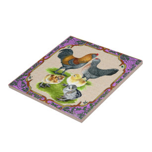 Ameraucana Familie Omlijst Tegeltje