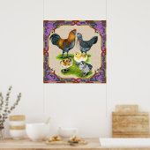 Ameraucana familie opgezet poster (Keuken)