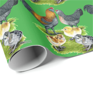Ameraucana Kippenfamilie Cadeaupapier