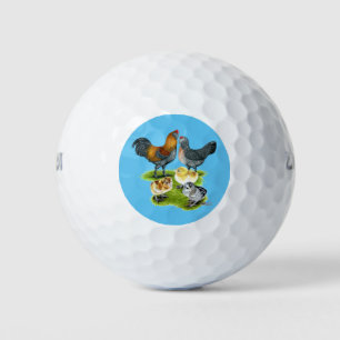 Ameraucana Kippenfamilie Golfballen