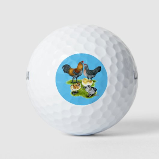 Ameraucana Kippenfamilie Golfballen (Voorkant)