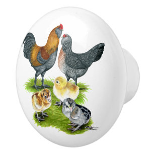 Ameraucana Kippenfamilie Keramische Knop
