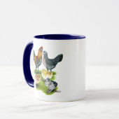 Ameraucana Kippenfamilie Mok (Voorkant links)
