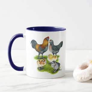 Ameraucana Kippenfamilie Mok