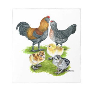 Ameraucana Kippenfamilie Notitieblok