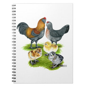 Ameraucana Kippenfamilie Notitieboek
