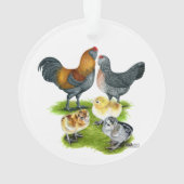 Ameraucana Kippenfamilie Ornament (achterkant)