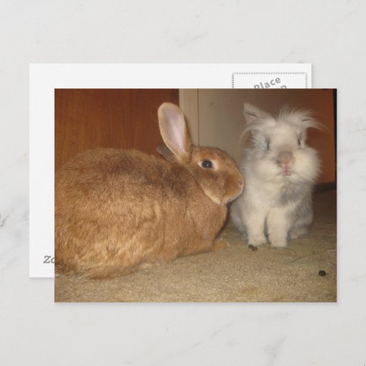 ameren briefkaart (Voorkant / Achterkant)