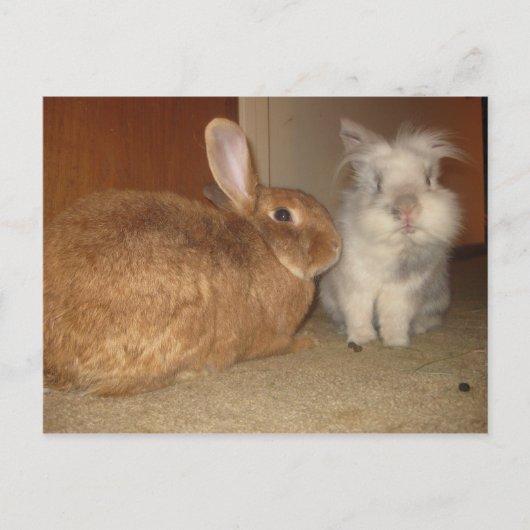 ameren briefkaart (Voorkant)