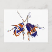 Ameri-Brit Cockroaches Briefkaart (Voorkant)