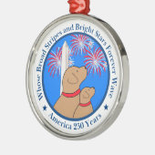 America 250 DC Edition Metalen Ornament (Links)