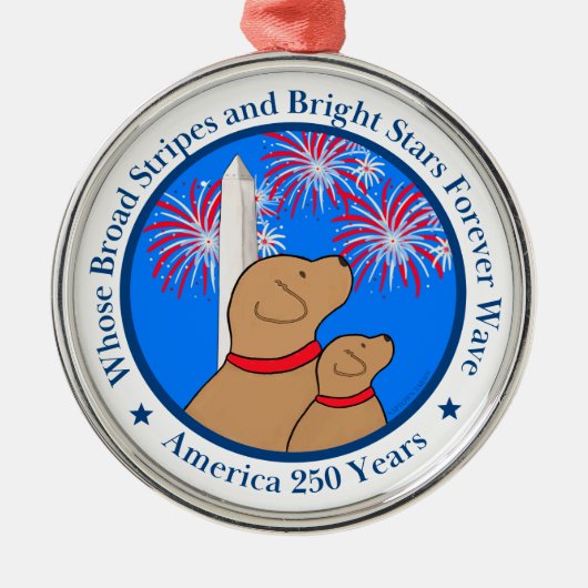 America 250 DC Edition Metalen Ornament (Voorkant)