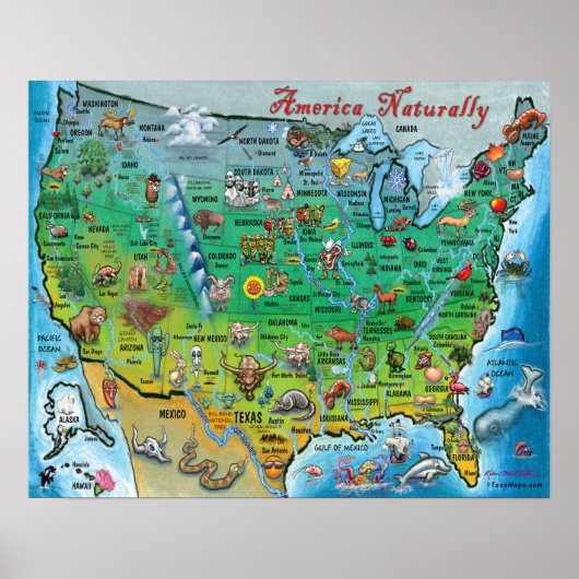 America Naturally Fun kaart Poster (Voorkant)