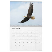 America Turns 250 2026 Semiquincentennial Calendar Kalender (Mar 2026)