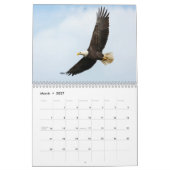 America Turns 250 2026 Semiquincentennial Calendar Kalender (Mar 2027)