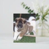 American Akita Puppy Dog Briefkaart (Staand voorkant)