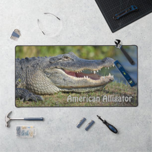 American Alligator Fotografische Wildlife Bureaumat