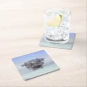 American Alligator – Lake Apopka Wildlife Drive Kartonnen Onderzetters (Insitu)