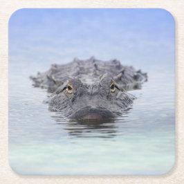 American Alligator – Lake Apopka Wildlife Drive Kartonnen Onderzetters