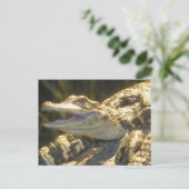 American Alligator Mouth Open Briefkaart (Staand voorkant)
