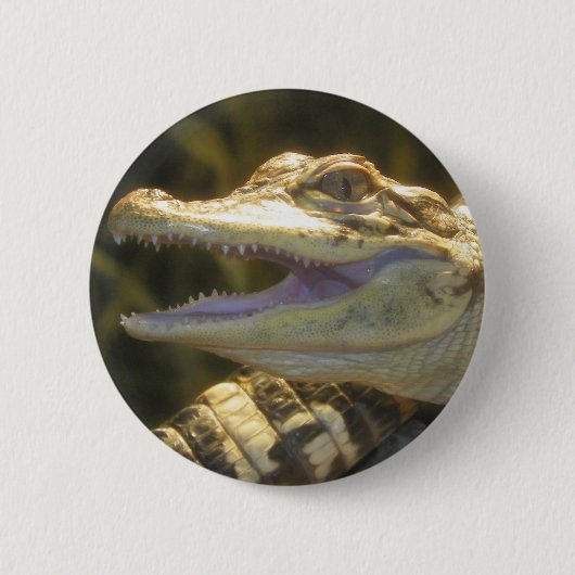 American Alligator Mouth Open Ronde Button 5,7 Cm (Voorkant)